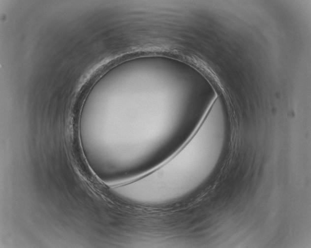 X0000084520676200702231135