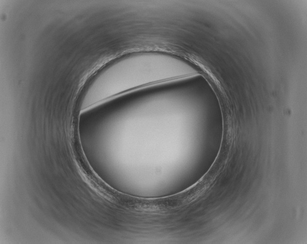 X0000084520677200702231135