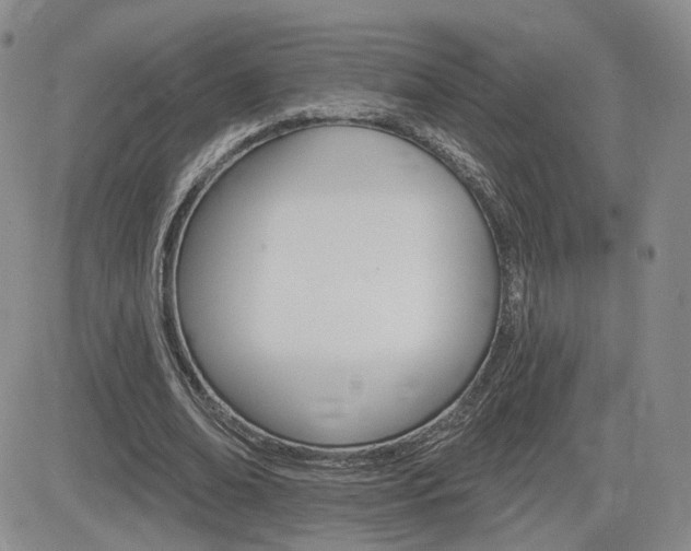 X0000084520678200702231135