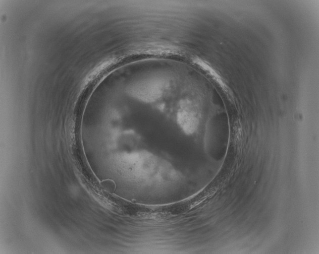 X0000084520679200702231135