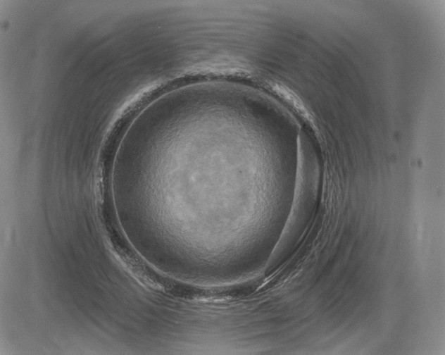 X0000084520680200702231135