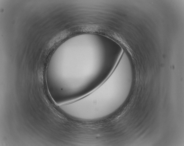 X0000084520681200702231135