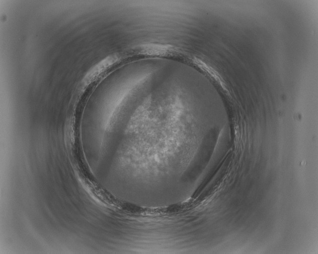 X0000084520682200702231135