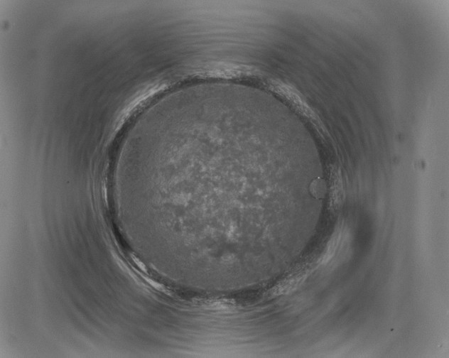 X0000084520683200702231135