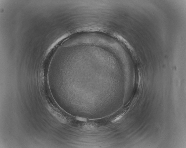 X0000084520684200702231135