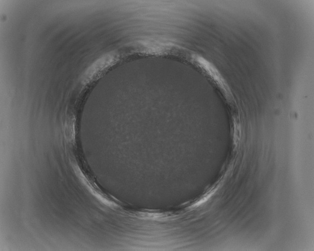 X0000084520685200702231135