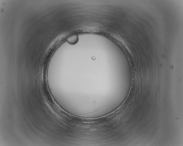 X0000084520686200702231135