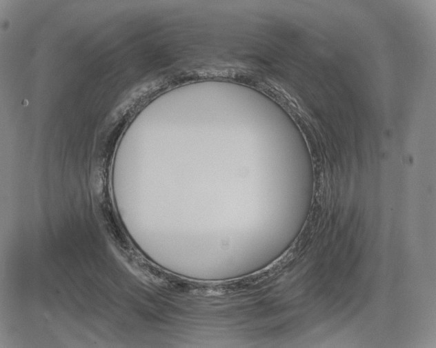 X0000084520687200702231135