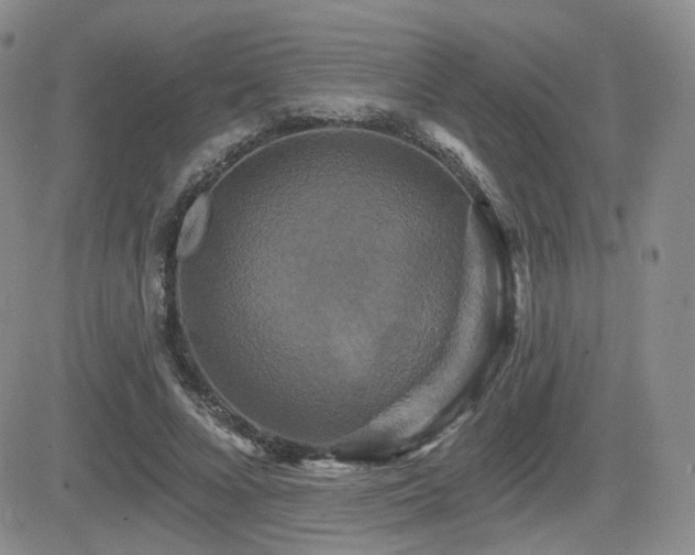 X0000084520688200702231135