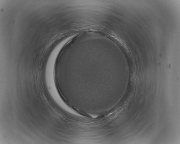 X0000084520689200702231135