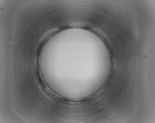 X0000084520690200702231135