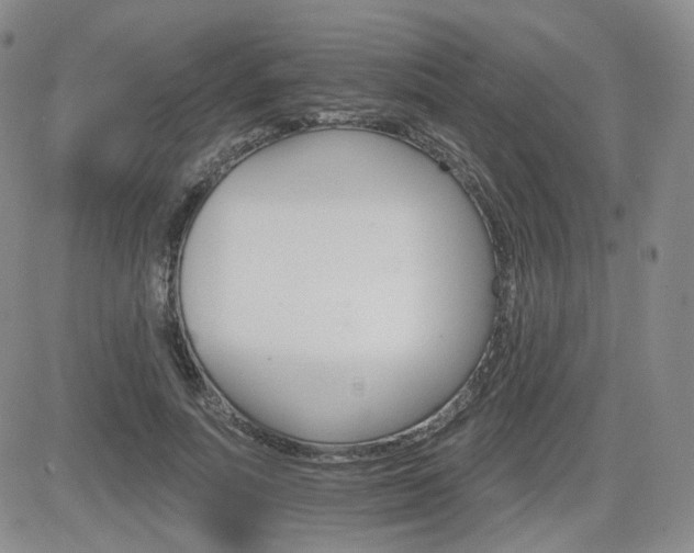 X0000084520691200702231135