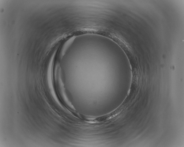 X0000084520692200702231135