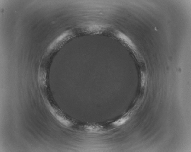 X0000084520693200702231135