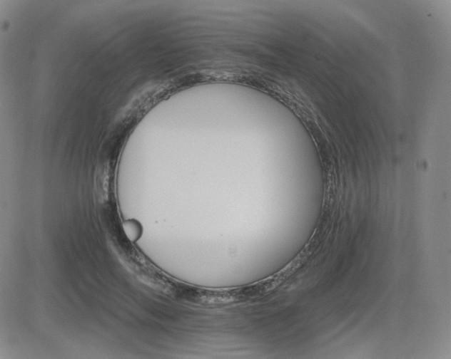 X0000084520694200702231135