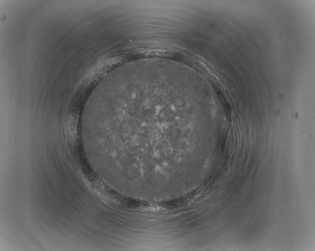 X0000084520695200702231135