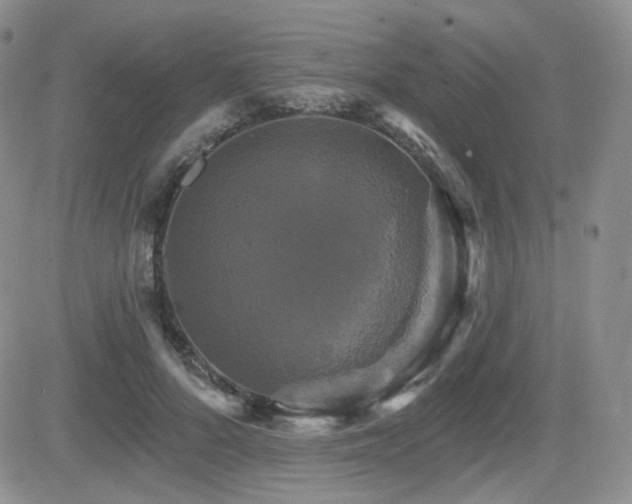 X0000084520696200702231135