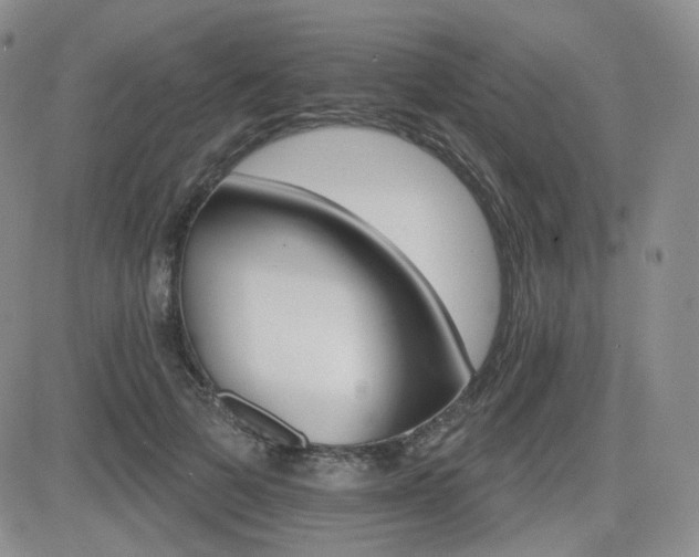 X0000084520697200702231135