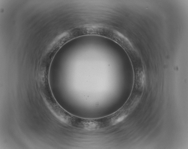 X0000084520698200702231135