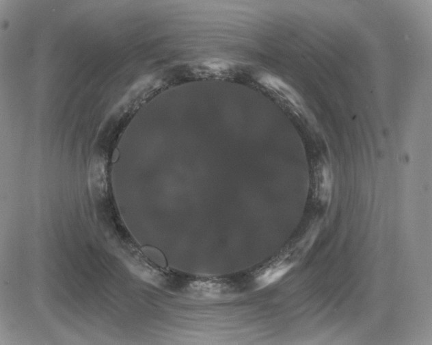 X0000084520699200702231135