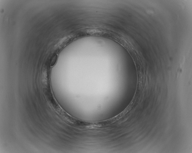 X0000084520700200702231135