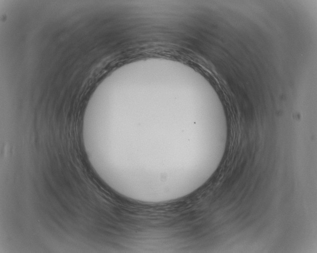 X0000084520701200702231135