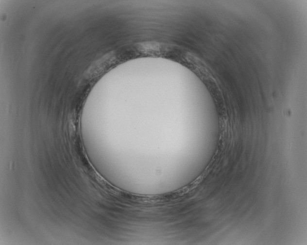 X0000084520702200702231135