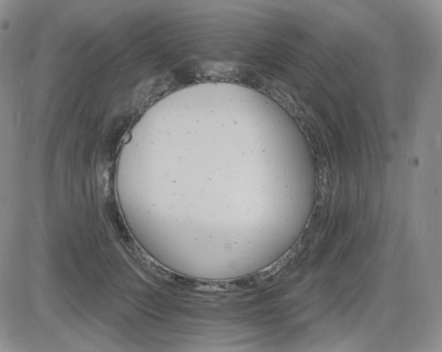 X0000084520703200702231135