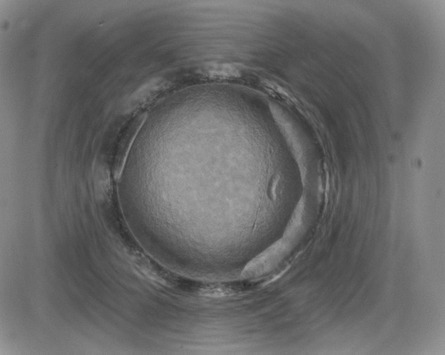 X0000084520704200702231135