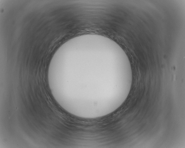 X0000084520705200702231135