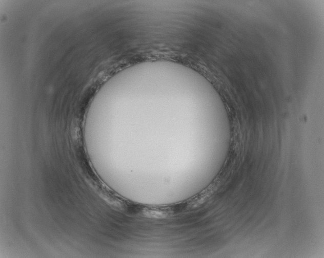 X0000084520706200702231135