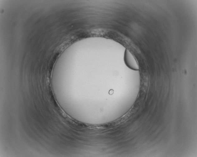 X0000084520707200702231135