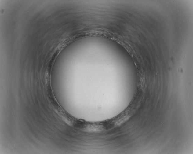 X0000084520708200702231135