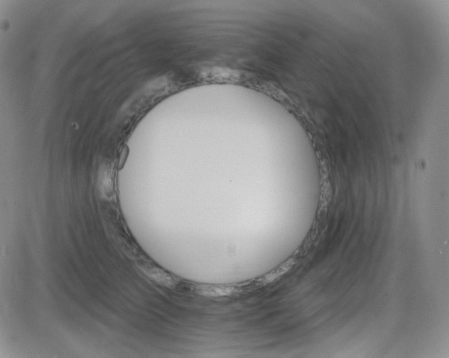 X0000084520709200702231135