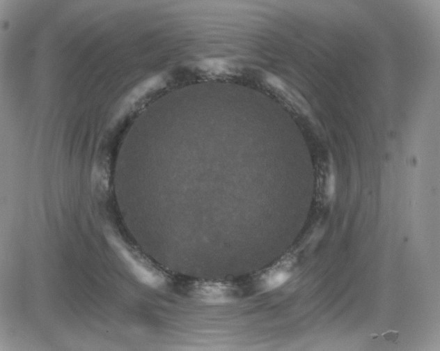 X0000084520710200702231135