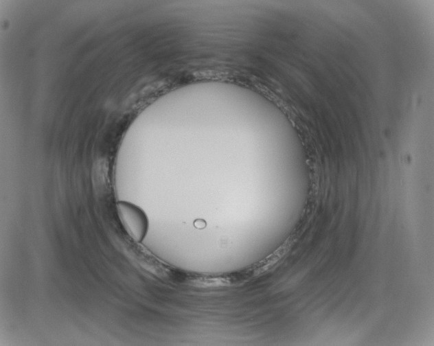 X0000084520711200702231135