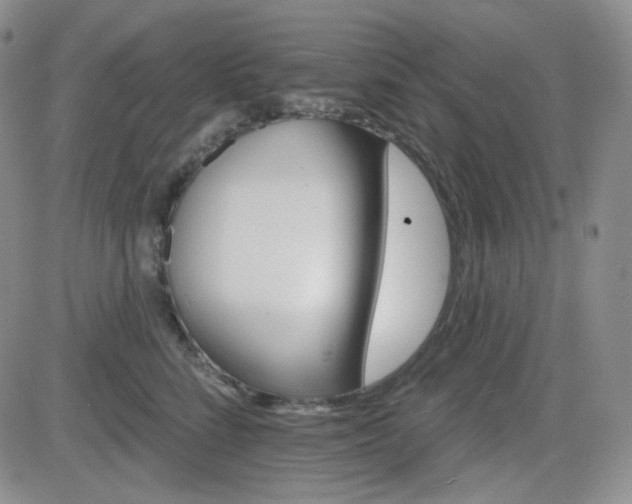 X0000084520712200702231135