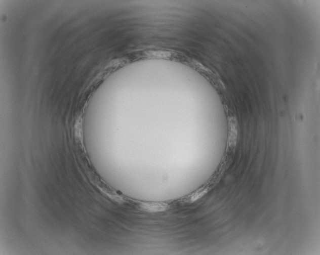 X0000084520713200702231135