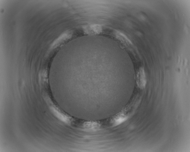 X0000084520714200702231134