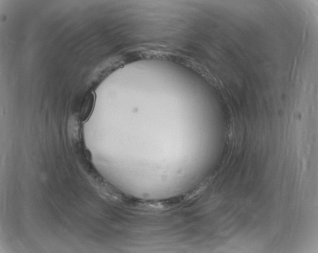 X0000084520715200702231134