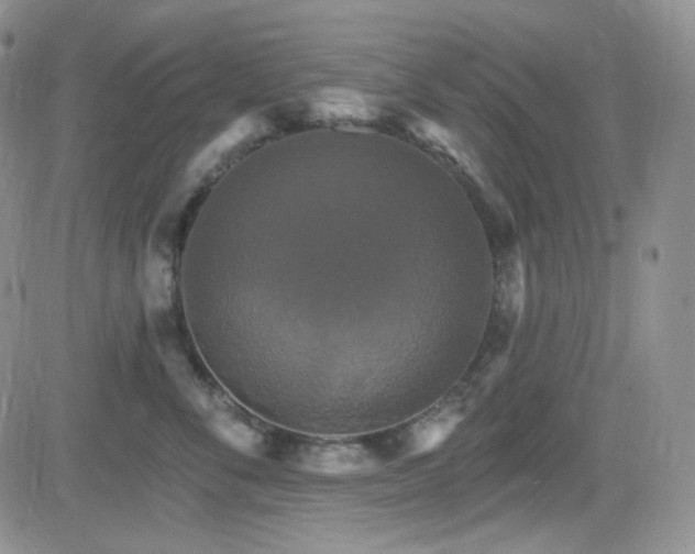 X0000084520716200702231134