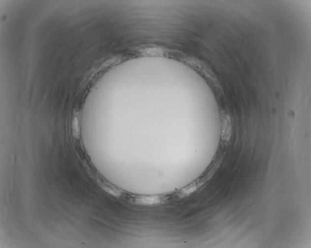 X0000084520717200702231134