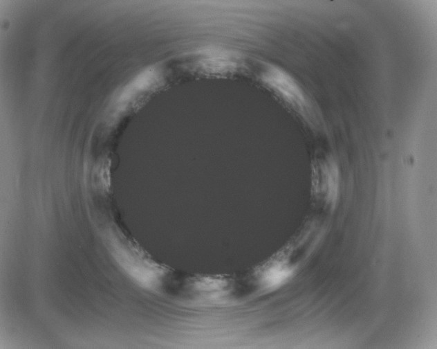 X0000084520718200702231134