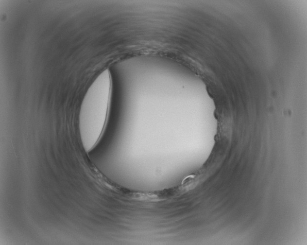 X0000084520719200702231134