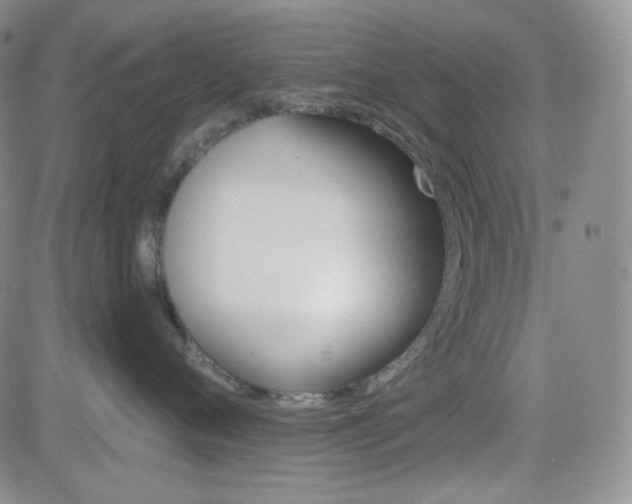 X0000084520720200702231134