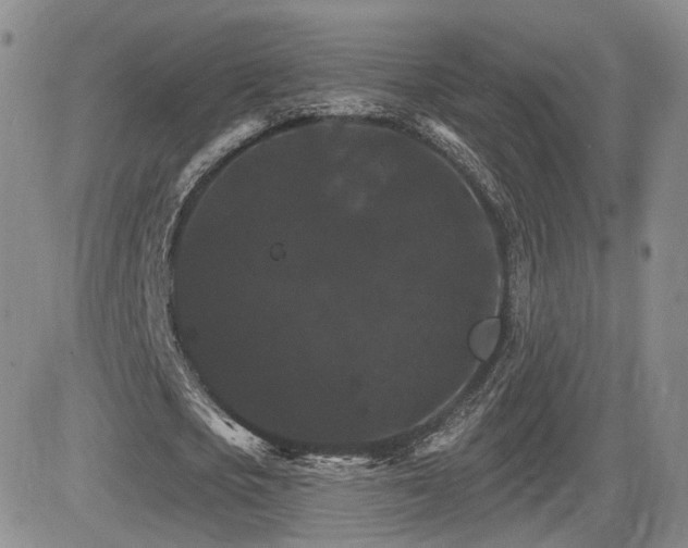 X0000084520721200702231134