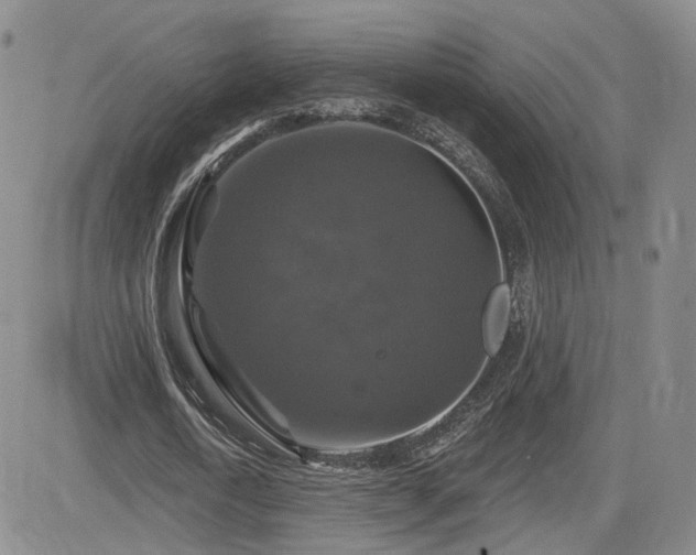 X0000084520722200702231134