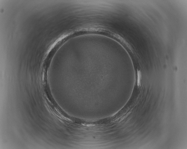 X0000084520723200702231134