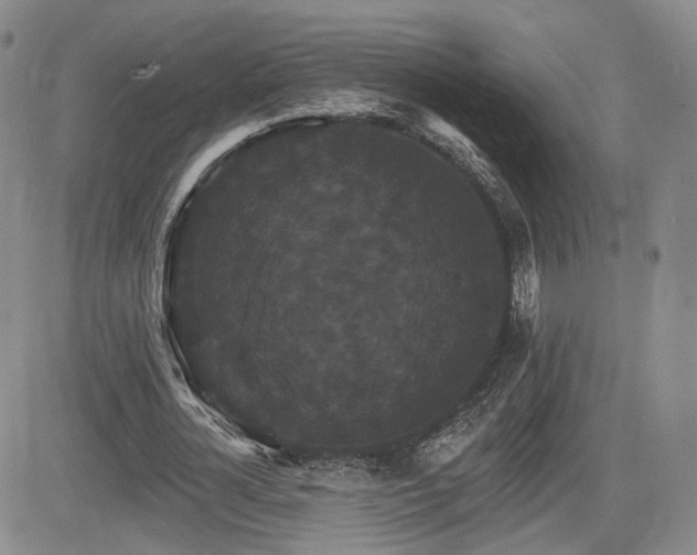 X0000084520724200702231134