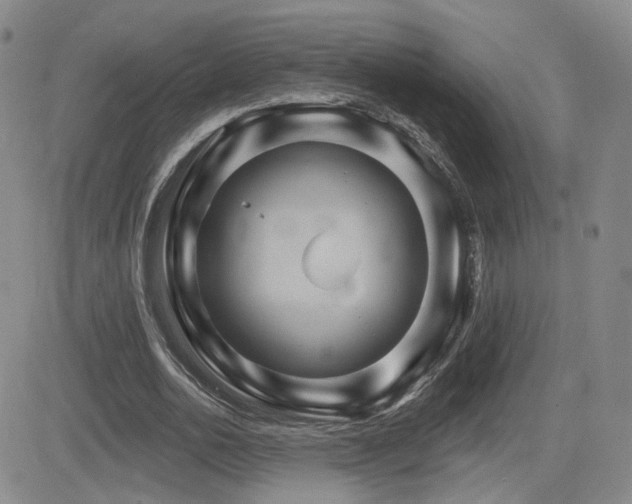 X0000084520726200702231134